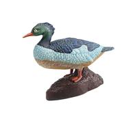 BUBEFSKD Pieza Decorativa con Temática De Ornitología Copia Precisa Aves Acuáticas para Entrenamiento Cognitivo Infantil Y Juguete Exploración Biológica del Plan Interior