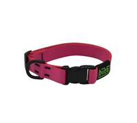 bub's Collar - Collar para Perro con Cierre rápido. (Rosa, M 34 a 53 cm 25 mm Ancho)