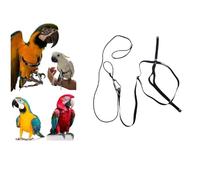 Buceo - Peto clásico ajustable de tamaño grande para Buceo Cacatúa, elástico, 10 mm, cuello siempre negro, bandas de colores, correa de 3 mm y 1 metro (negro)