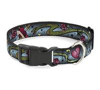Buckle-Down 15-26" Live Hard Die Young Close-Up - Cuello de Clip de plástico, Color Turquesa