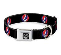 Buckle Down 9 - 15 "" styf-Steal tu Cara Collar de Perro