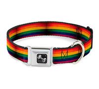 Buckle Down Bandera Orgullo Envejecido Arco Iris Collar de Perro Hueso, grande/15 - 26 "