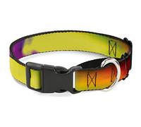 Buckle-Down BD Psychedelic Martingale Collar para Perro, 2,5 cm de Ancho, para Cuello de 15-26 Pulgadas, Grande