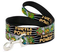 Buckle-Down Classic TMNT Group Pose/Turtle Power! Pet Leash, 6-1.5"