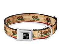 Buckle-Down Collar para Mascotas, Collar de Perro, Hebilla de cinturón de Seguridad de Metal, Bandera de California, Vintage Continuo, 9.5 a 13 Pulgadas, 1.0 Pulgadas de Ancho