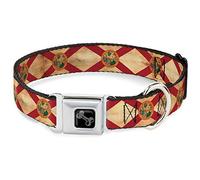 Buckle-Down Collar para Mascotas, Collar de Perro, Hebilla de cinturón de Seguridad de Metal, Bandera de Florida, Vintage Continuo, 11 a 16.5 Pulgadas, 1.0 Pulgadas de Ancho