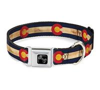 Buckle-Down Collar para Mascotas, Collar de Perro, Hebilla de cinturón de Seguridad de Metal, Bandera de Colorado, Vintage Continuo, 9.5 a 13 Pulgadas, 1.0 Pulgadas de Ancho