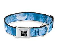 Buckle-Down Collar para Mascotas, Collar de Perro, Hebilla de cinturón de Seguridad de Metal, Lavado Blanco vívido océano, 9.5 a 13 Pulgadas, 1.0 Pulgadas de Ancho