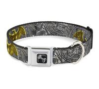 Buckle-Down Collar para mascotas, collar de perro, hebilla de cinturón de seguridad de metal, monedas de un cuarto apiladas, gris plateado, amarillo dorado, 11 a 16.5 pulgadas, 1.0 pulgadas de ancho