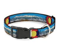 Buckle-Down Collar para Mascotas, Collar de Perro, Hebilla de plástico, Colorado Mount Evans Vivid Landscape Colorado, Icono de la Bandera de Colorado, 16 a 23 Pulgadas, 1.5 Pulgadas de Ancho