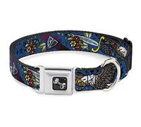 Buckle-Down - Collar para Perro, Color Azul, tamaño Mediano, de la Verdad y la Justicia de 28 a 43 cm