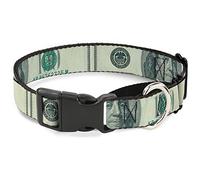 Buckle-Down - Collar para Perro con Cierre de Billete de 100 dólares de marcación, 2,5 cm de Ancho, Cuello Mediano de 28 a 43 cm