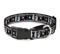 Buckle-Down - Collar para Perro con diseño de Billete de 100 dólares de X-Ray, Color Negro y Blanco, 3,8 cm de Ancho, Cuello pequeño de 33 a 46 cm