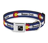 Buckle-Down Collar para Perro con Hebilla de cinturón de Seguridad, Bandera de Colorado Beaver Creek, Azul/Blanco/Rojo/Amarillo