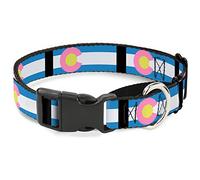 Buckle-Down Colorado Banderas Pastel Martingale Collar de Perro, 1" de Ancho, para Cuello de 15-26 Pulgadas, Grande