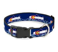 Buckle-Down Colorado - Collar con Clip de plástico Azul/Blanco/Rojo/Amarillo, 2,5 cm de Ancho, Cuello Mediano, 28 cm