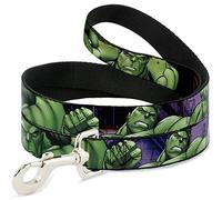 Buckle Down Correa para Mascotas, Poliéster, Multicolor, 6 Feet Long-1/2 Wide