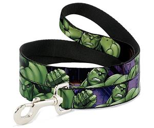 Buckle Down Correa para Mascotas, Poliéster, Multicolor, 6 Feet Long-1/2 Wide