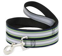 Buckle-Down Correa para Perro a Rayas, Azul Marino, Verde neón, Plata y Blanco, 1,2 m de Largo y 1,2 cm de Ancho