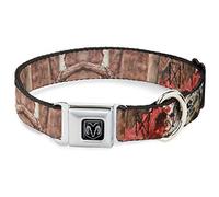 Buckle-Down DC-DB-WMO001-WS - Collar para Perro, diseño de Hueso