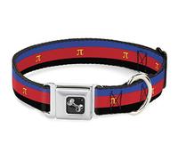 Buckle-Down DC-W30688-S® - Collar para Perro, diseño de Bandera de Piel sintética, Color Azul/Rojo/Negro/Amarillo