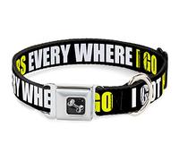 Buckle-Down DC-W30928-M - Cinturón de Seguridad para Perro, Talla Mediana