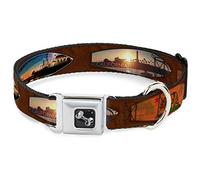 Buckle-Down DC-W34550-L - Cinturón de Seguridad para Perro, Talla Grande, 2,54 cm de Ancho