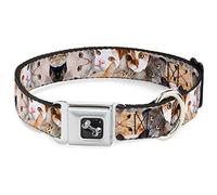 Buckle-Down DC-W35576-S- Collar para cinturón de Seguridad para Perro, pequeño, Cara de Gato apilada