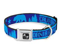 Buckle-Down DC-W38114-WM Collar para Perro, 3,8 cm de Ancho, Cuello Mediano, 40,64 cm