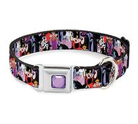 Buckle Down DC-WDY295-WM DYBF Princesa Gem - Collar para Perro, Ancho, Mediano, 40,6-58,4 cm