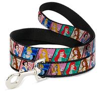 Buckle-Down Disney Princess Poses/Castle Blocks Pet Leash, 6" x 1.5"