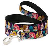 Buckle-Down Disney Princess Poses/Castle Silhouettes Purples/Multi Color Pet Leash, 6 'x 1/2"