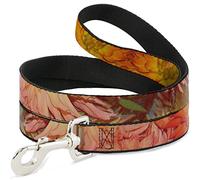 Buckle-Down DL-W32214 Vivid Floral Collage Orange Pet Leash, 4' de Largo - 1" de Ancho