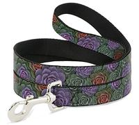 Buckle-Down DL-W37123 Succulents Stacked Green/Rosa/Naranja Pet Leash, 4" de Largo - 1" de Ancho