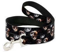 Buckle-Down Grumpy Cat Moons Scattered Pet Leash, 6" x 1/2"