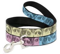 Buckle-Down Grumpy Cat Poses Ombre Rosa/Azul/Amarillo Pet Leash, 6" x 1/2"