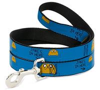 Buckle-Down Jake - Jake's In Here - Correa para Mascota, 15,2 x 12,7 cm