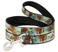 Buckle-Down Lady 3-Scene Poses Mascota Leash, 4'-1/2"