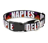 Buckle-Down Martingale Collar para perro, diseño de ciudades de Florida, palmera, puesta de sol/blanco, 2,5 cm