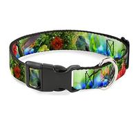 Buckle-Down PC-W32219-S- Collar de plástico con Clip, colibrí, 2,5 cm de Ancho, Cuello pequeño