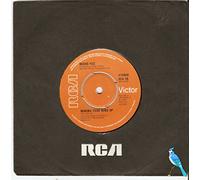 Bucks Fizz - Making your mind up (Eurovision 1981, F) / Vinyl single [Vinyl-Single 7'']
