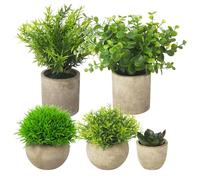 BUCOMTU 5 Piezas Plantas Decorativas, Mini Macetas Artificiales Lengua de Serpiente, Agave Suculentas, Aloe Garra de Águila para Decoración de Dormitorio Oficina (Marrón)