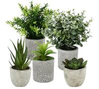 BUCOMTU 5 Piezas Plantas Decorativas, Mini Macetas Artificiales Lengua de Serpiente, Agave Suculentas, Aloe Garra de Águila para Decoración de Dormitorio Oficina (Color Natural)