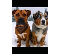 Buddy and the Baby: Winter Trials: Book Two