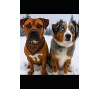 Buddy and the Baby: Winter Trials: Book Two