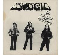 Budgie - If Swallowed Do Not Induce Vom [VINYL] [Vinilo]