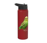 Budgie Verde Stainless Steel Insulated Water Bottle