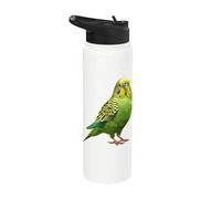 Budgie Verde Stainless Steel Insulated Water Bottle