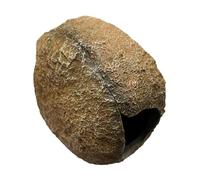 budiniao Cueva para Peces Que se sujeta fácilmente y Ofrece una solución de escondite magnético para acuarios. mitades de Resina se Pueden Sujetar fácilmente Mediante una Abrazadera magnética