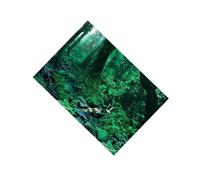 budiniao Póster de Paisaje de Acuario, Imagen única de Fondo para pecera, CREA Efectos Impresionantes en paisajismo acuático, decoración de Pared para, Verde Hierba, 61x41cm